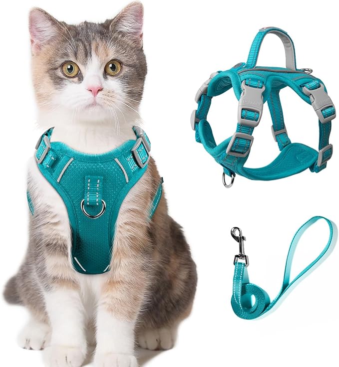 Cat Harness and Leash Set for Walking Escape Proof for Small Large cat Kitten Harness with ID tag Pocket (Blue,S)