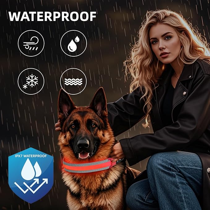 PetIsay LED Dog Collar Metal Buckle - Heavy Duty Light up Collars - Rechargeable IP68 Waterproof - Lighted Dog Collar for Night Walking, Hiking, Camping (Large, Red)