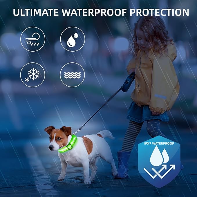 Super Bright LED Dog Collar - Fully Waterproof & Adjustable Glow Collar - USB-C Rechargeable for Night Walking, Safety - Flashing Lighted Collar for Dogs(Green,Medium)