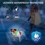 Super Bright LED Dog Collar - Fully Waterproof & Adjustable Glow Collar - USB-C Rechargeable for Night Walking, Safety - Flashing Lighted Collar for Dogs(Green,Small)