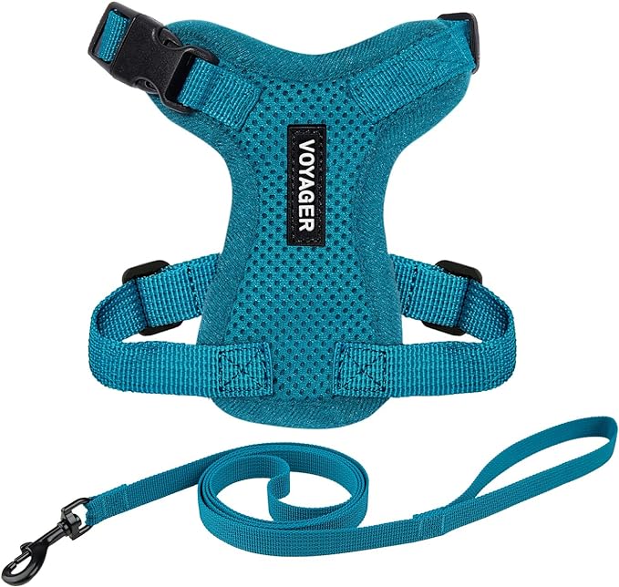 Voyager Escape-Proof Step-in Lock Cat Harness & 5ft Neoprene-Handle Leash Set All-Weather Mesh with Reflective Stitching for Small to Large Cats by Best Pet Supplies, Turquoise, XS