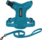 Voyager Escape-Proof Step-in Lock Cat Harness & 5ft Neoprene-Handle Leash Set All-Weather Mesh with Reflective Stitching for Small to Large Cats by Best Pet Supplies, Turquoise, XS