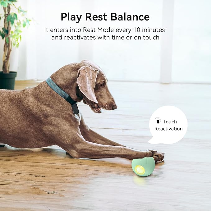Trueway Smart Interactive Dog Toy, Wicked Ball PE, Automatic Moving Bouncing Rotating Ball, Active Rolling Ball for Medium Large Dogs Boredom with LED Lights (Green)
