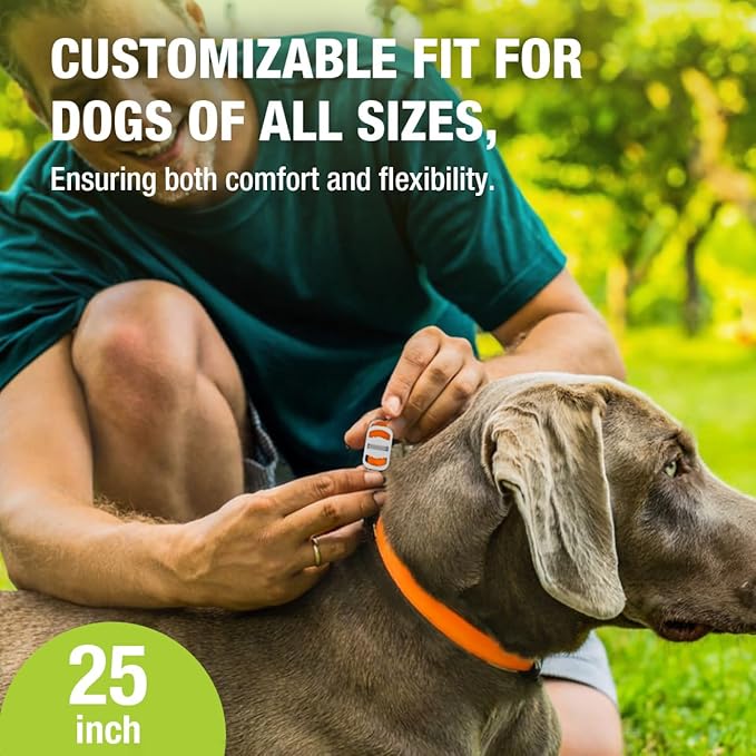 EcoVenger Flea Collars for Dogs & Cats - Flea & Tick Repellent 2-Pack Orange. Built-in Pant-Based Formula Strong Repellency Slow Release, Lasting Protection, Pleasant Aroma, Waterproof