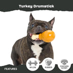 Barkbox Super Chewer Tough Dog Chew Toys for Aggressive Chewers, Dental Stimulating (Turkey - Small)
