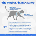 rabbitgoo Cat Harness and Leash Set for Walking Escape Proof, Adjustable Soft Kittens Vest with Reflective Strip for Cats, Comfortable Outdoor Vest, Blue, XL