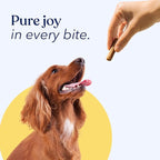 Honest Paws Dog Jerky Treats - All-Natural Jerky Dog Treats for Training Pets - Human Grade Sticks - Real USA Chicken