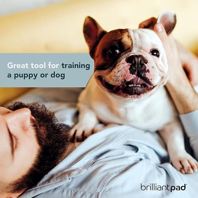 BrilliantPad Go Here! Puppy Potty Training Spray | Natural Attractant, Dog & Puppy Home Housebreaking Aid for Pets | Safe for Animals, Furniture & Plants | Use on Pee Pads Indoor & Outdoor | 4oz