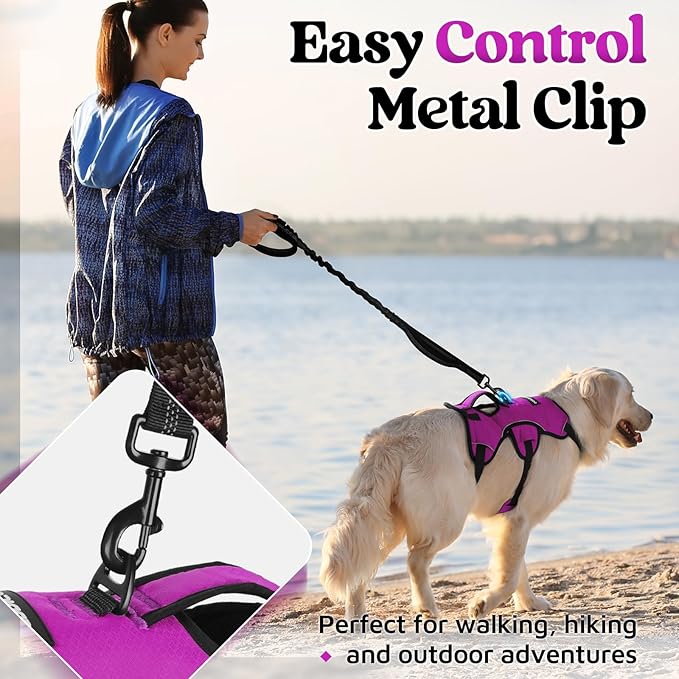 rabbitgoo Escape Proof Dog Harness, Soft Padded Full Body Pet Harness, Reflective Adjustable No Pull Vest with Lift Handle and Leash Clip for Large Dogs Walking Hiking Training, M, Purple
