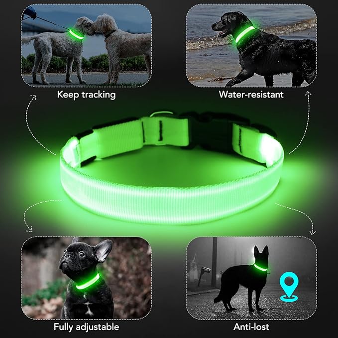 LED Dog Collar - Adjustable, Rechargeable, Waterproof, Glow in Dark for Medium Large Dogs