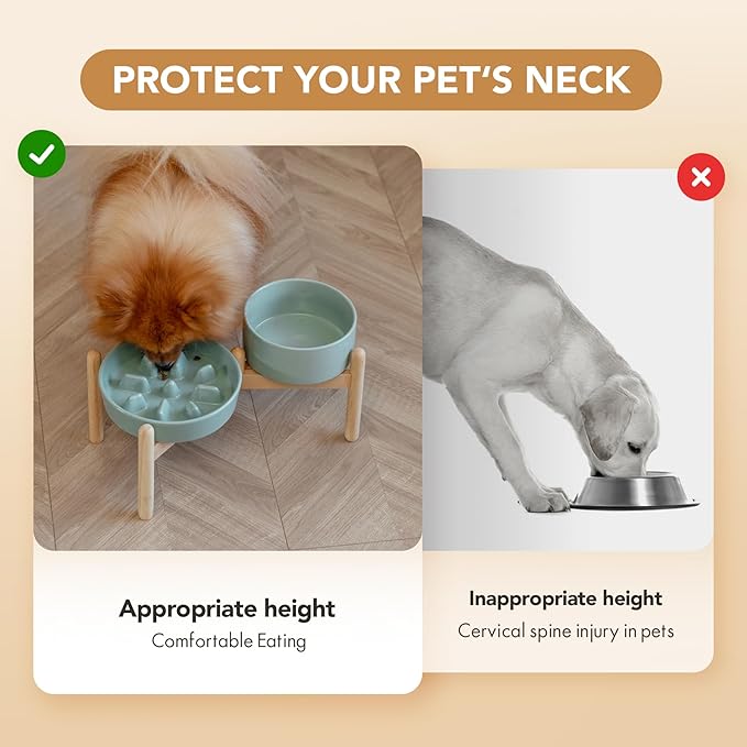 Ceramic Raised Slow Feeder Dog Bowl Set, Elevated 6.1inch Bowl and 7.3inch Slow Pet Food Dish with Wooden Stand for Small and Medium Dog (2 x Light Green+ Stand)