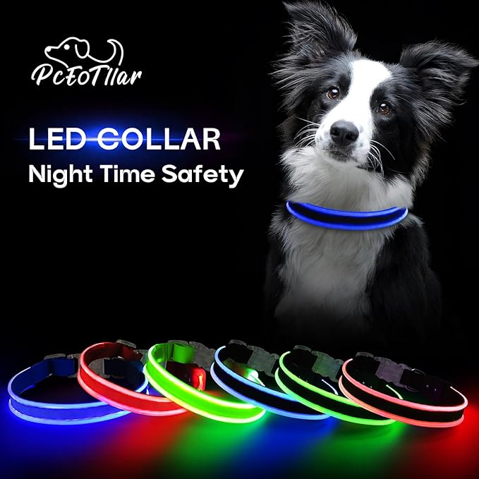 PcEoTllar Light up Dog Collars Rechargeable, LED Dog Collar Night Walking, Waterproof Flashing Glow in The Dark Dog Collars, Adjustable Dog Lights for Large Small Medium Dogs Blue-m