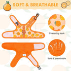 BINGPET Cat Harness with Leash Escape Proof - Fashionable Mesh Cat Dog Walking Harness Leads, Adjustable for Kitties Puppies Small Animals, Large