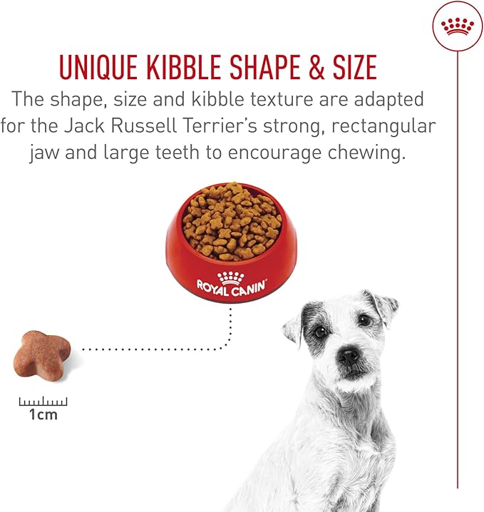 Royal Canin Jack Russell Terrier Adult Dry Dog Food, 10 lb bag