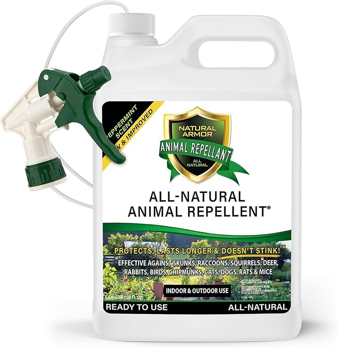 Natural Armor Animal & Rodent Repellent Spray. Repels Skunks, Raccoons, Rats, Mice, Deer Rodents & Critters. Repeller & Deterrent in Powerful Peppermint Formula – 128 Fl Oz Gallon Ready to Use