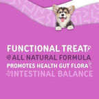 waggedy Advanced Probiotics Gut & Digestion Food Topper — Digestive Enzymes w/Papaya — Probiotic Powder — Dog Supplement Powder — Products for Dogs Over 6 Weeks (114g)