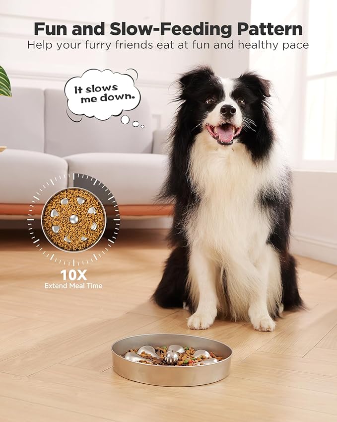 2-Pack Slow Feeder Dog Bowls – Stainless Steel Metal Bowls with Double-Sided Design, 5 Cups Large Capacity for Dry, Wet, Raw Food, Slow Feeding for All Dog Sizes, Easy to Clean, Non-Slip