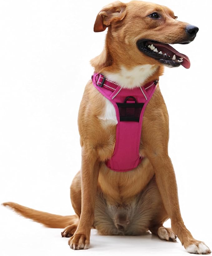 Doggie Design Venture Paw No Pull Dog Harness - Simple Adjustable Puppy Harness - Anti Pull Dog Collar for Walks and Outdoor Adventures - Wild Raspberry, L