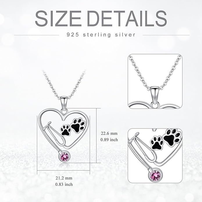 Birthstone Veterinary Stethoscope Necklace 925 Sterling Silver Nurse Vet Pendant with Dog Paw Nurse Jewelry Gifts for Veterinarian Nurse Women Veterinarian Gifts
