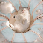 Mesh Cat Tunnel Bed with 20 Cat Toys, Collapsible Play Tunnel for Indoor Cats,Visible Cat Tube for Kitten Puppy