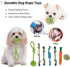 20Pcs Puppy Chew Toys for Teething, Dog Chew Rope Toys, Pet Dog Toothbrush, Treat Balls, Plush Squeaky Toy for Small Medium Dogs with Basket