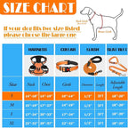 No Pull Dog Harness, Collar & Leash Set | Includes Dog Seat Belt, Collapsible Bowls & Poop Bag Dispenser. Ideal for Training, Walking, Hiking. Fits Small to Large Dogs(Orange-S)