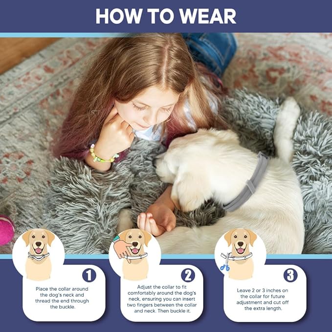 Flea Collar for Dogs, Tick Collar for Larger Dogs, Dog Flea Collars,8 Months Protection,Plant-Based Ingredients,Comfortable Dog Flea Collars – Perfect for Sleep, Play, Walks & Water Fun-2P