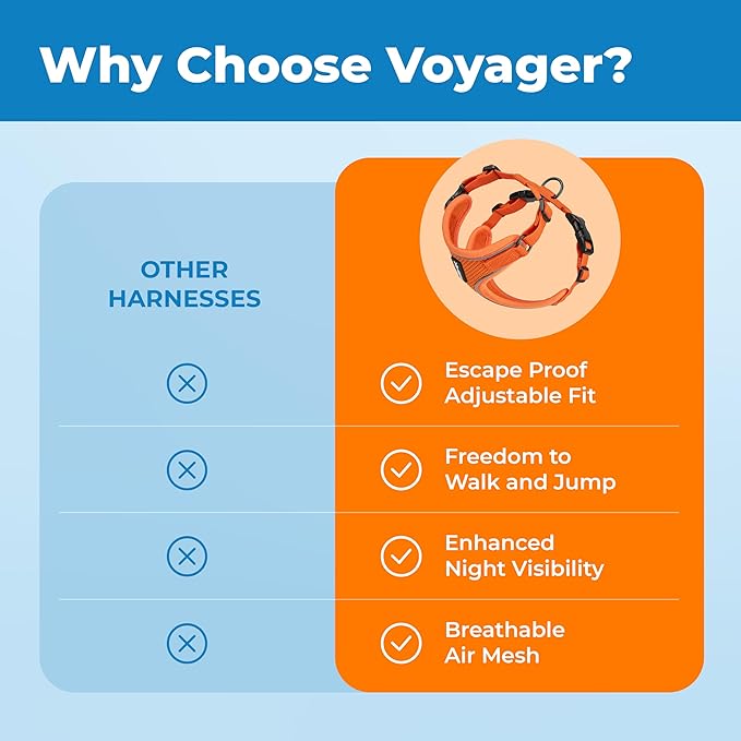 Voyager Escape-Proof Step-in Lock Cat Harness & 5ft Neoprene-Handle Leash Set All-Weather Mesh with Reflective Stitching for Small to Large Cats by Best Pet Supplies, Orange (327), XS