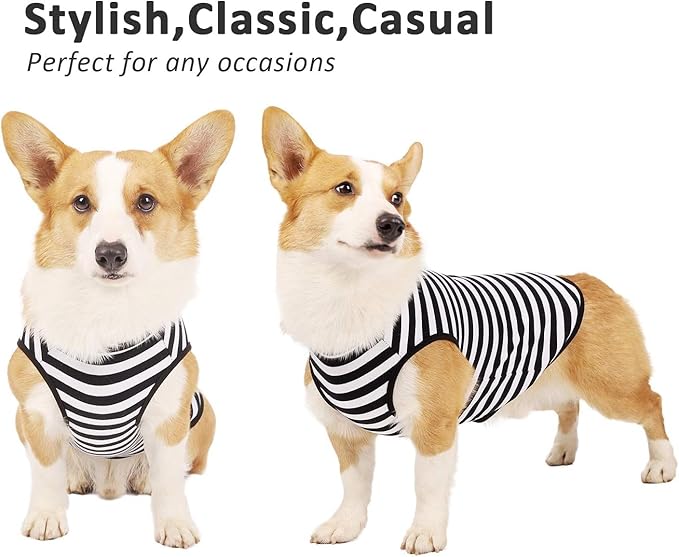 WEONE Dog Shirts Striped Cotton Clothes,Pet Breathable Soft Basic T-Shirt for Small Medium Larg Boy Girl Dogs,Black Blue M