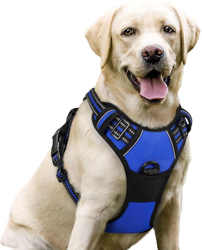 rabbitgoo Dog Harness No Pull with 2 Leash Clips, Adjustable Soft Padded, Reflective Oxford No Choke Pet Vest with Easy Control Handle for Large Dogs, Dazzling Blue, L