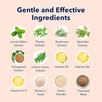 Vets Preferred Flea and Tick Prevention for Dogs Chewable - Daily Defense Without Harsh Chemicals - Immune Support & Antioxidant Protection - Beef Flavored - 90 Soft Chews