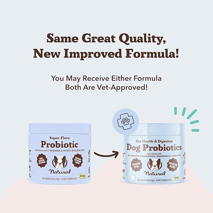 Natural Dog Company Gut Health & Canine Specific Probiotics Chews, 1 Daily Chew for All Dogs, Prebiotics & Digestive Enzymes for Digestion, Gas, Loose Stool, Immune System & Bowel Support, 45 Ct