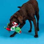 Fringe Studio Plush Dog Toy, to The REX-CUE!, Pet Shop Collection (314597)