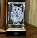 3D Crystal Photo, Personalized Dog, Cat Memorial Gifts for Pet Owners. Gift Box Included, Customized Laser Etched Crystal Photo (Small Landscape)