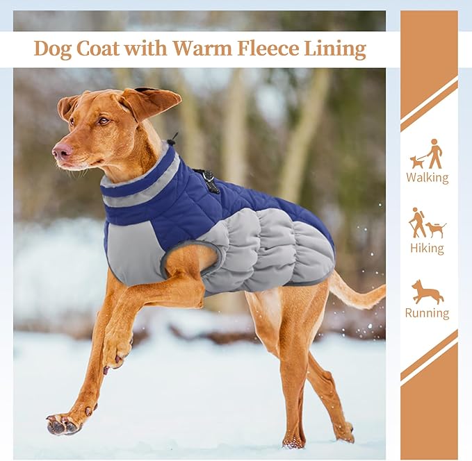 Dog Jackets for Medium Dogs,Medium Dog Coat,Warm Pet Winter Coat Zip Up Back,Waterproof Dogs Jacket with D-Ring,Pet Cold Weather Coats with Fleece Lined, Snowsuit Pug Boston Terrier,Blue,M