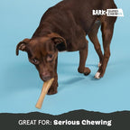 Barkbox Super Chewer Tough Dog Chew Toys for Aggressive Chewers, Dental Stimulating (PB Bone - Small)
