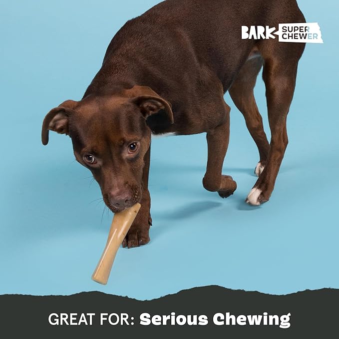 Barkbox Super Chewer Tough Dog Chew Toys for Aggressive Chewers, Dental Stimulating (PB Bone - Small)