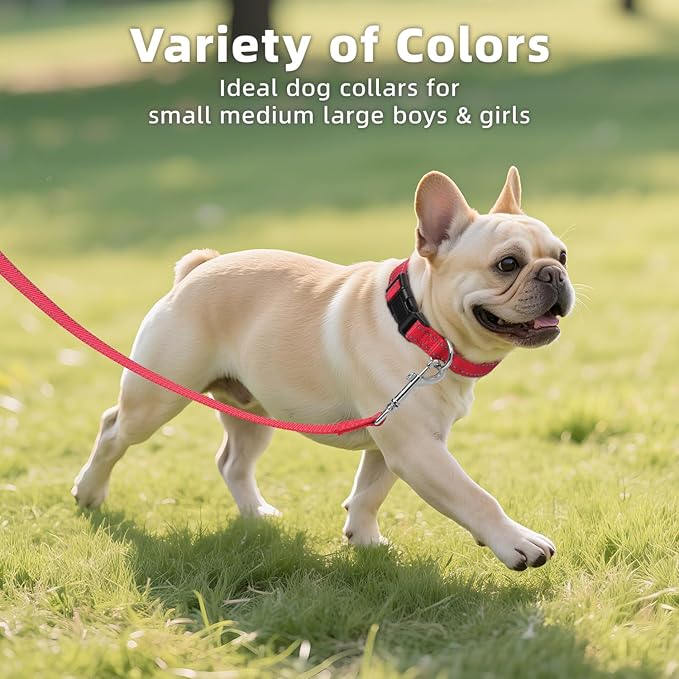 Reflective Dog Collar, Soft Neoprene Padded Nylon Pet Collar with Quick-Release Buckle, Adjustable for Mediunm Dogs,Red,M, 3/4" Width