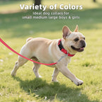 Reflective Dog Collar, Soft Neoprene Padded Nylon Pet Collar with Quick-Release Buckle, Adjustable for Mediunm Dogs,Red,M, 3/4" Width