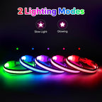 Flashseen LED Cat Collar,Light Up Dog Collar Rechargeable, Dog Lights for Night Walking, Comfortable Soft Mesh Pet Collar Adjustable for Cats Puppy and Small Dogs(Neon Green, XS)