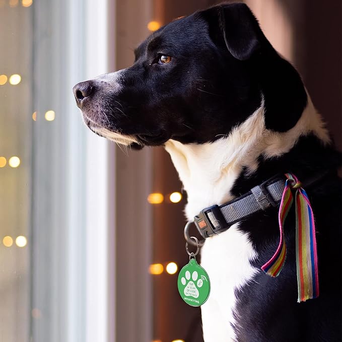 MYLUCKYTAG NFC & QR Code Smart Pet ID Tag Personalized Dog Cat Tag, Online Pet Profile, Pet Location Alert Email, Digital Pet Tag, Quiet Pet Tag, Durable Pet ID, Dog Collar Tag