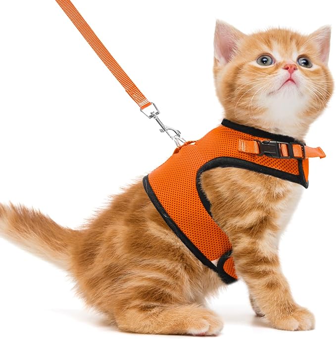 PUPTECK Soft Mesh Cat Vest Harness and Leash Set Puppy Padded Pet Harnesses Escape Proof for Cats Small Dogs Rabbits Bunny