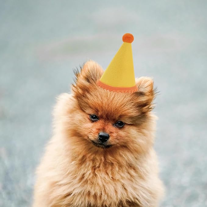 20 Pcs Dog Birthday Hat Set for Small Medium Dogs Cat Puppies, Mini Party Hat with Adjustable Headbands, Cute Pet Hat with Pompons for Birthday Christmas Party Decoration Accessories (Small 3.5 Inch)