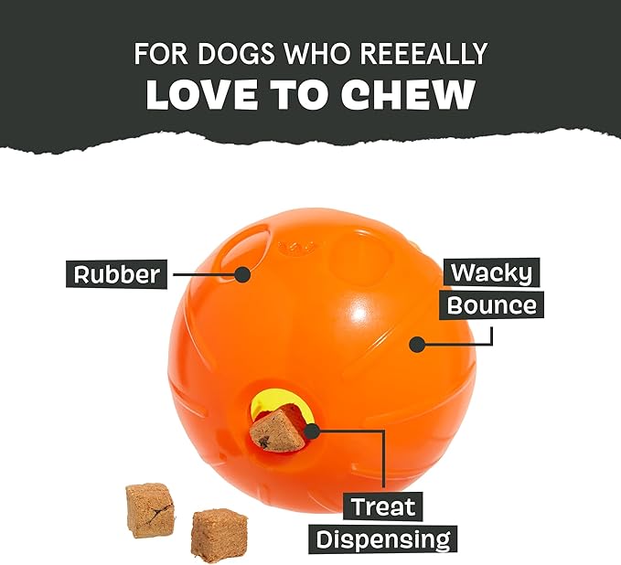 Barkbox Pumpkin Prodigy Dog Toy | Treat-Dispensing Rubber Dog Toy for Aggressive Chewers | Durable Dog Chew Toy for Medium Dogs & Puppy Essentials