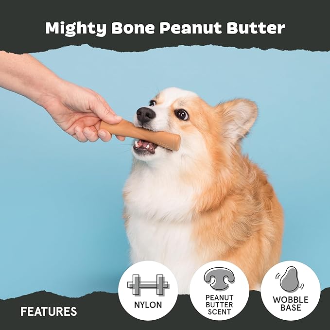 Barkbox Super Chewer Tough Dog Chew Toys for Aggressive Chewers, Dental Stimulating (PB Bone - Small)