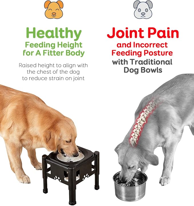 Pawque Elevated Dog Bowls, 80Oz Stainless Steel Water Feeder with 3 Adjustable Heights, Anti-Spill Design for Small to Medium Sized Dogs