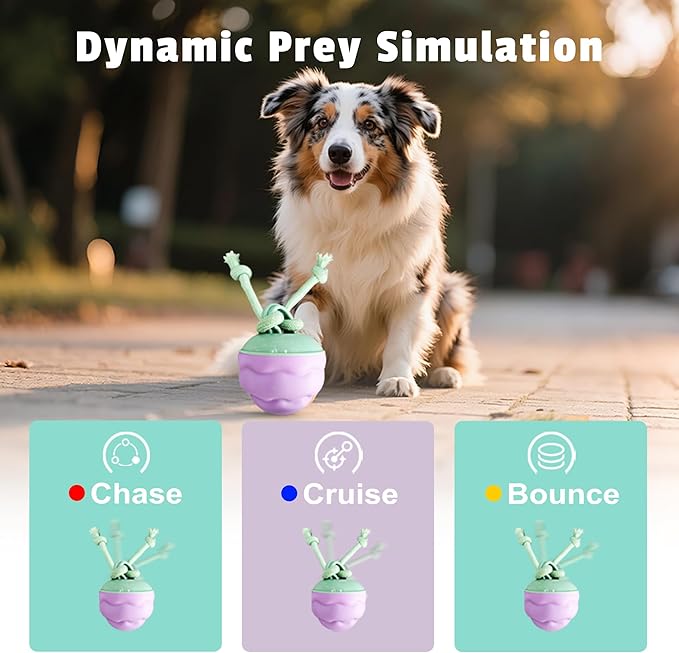 Interactive Dog Toys [2025 Upgrade] – Smart Dog Ball, Automatic Motion-Activated Rolling, Random Path, Squeaky Sounds, USB-C Rechargeable LED Light, Indoor/Outdoor Use