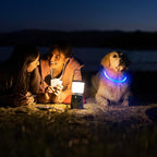 HIGO LED Dog Collar, USB Rechargeable Light Up Dog Collars Glow in The Dark, TPU Cuttable Pet Safety Dog Necklace for Nighttime Dog Walking (Blue)