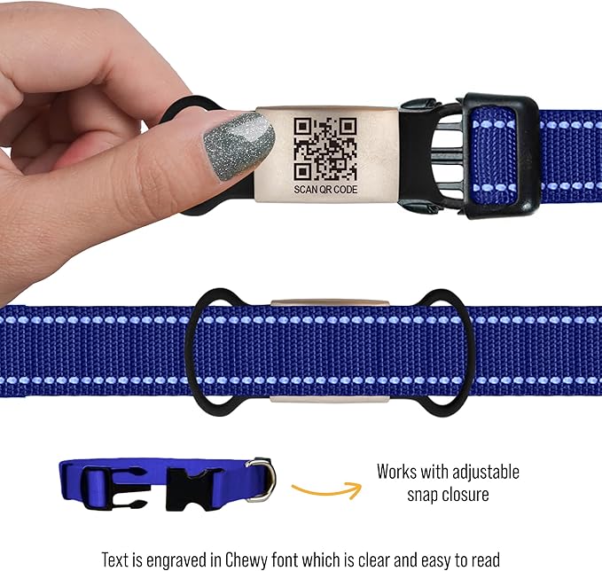 Smart Slide-On QR Code Pet Tag – Silent Dog & Cat ID Tag with Laser Engraving – Stainless Steel & Silicone – No App Needed – Custom Pet Profile – Fits Most Collars (Blue, Extra Large)