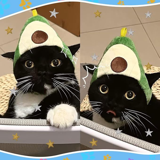 Weewooday 5 Pcs Cat Adorable Costume Bunny Hat with Ears Funny Mane Cat Hat for Pets and Small Dogs Kitten Puppy Party Costume Accessory Headwear(Avocado, Orange, Strawberry, Pineapple, Frog)